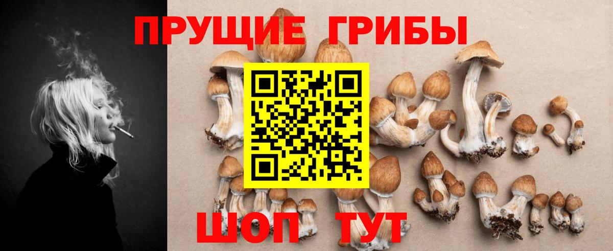 Лянтор  Галлюциногенные грибы Cubensis  Вход с VPN  наркошоп  Псилоцибиновые грибы Psilocybine cubensis 